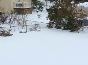 Photo Feb 13, 10 09 19 AM