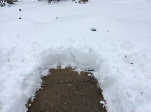 Photo Feb 13, 10 57 04 AM