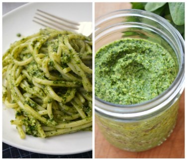 kale-pesto-collage