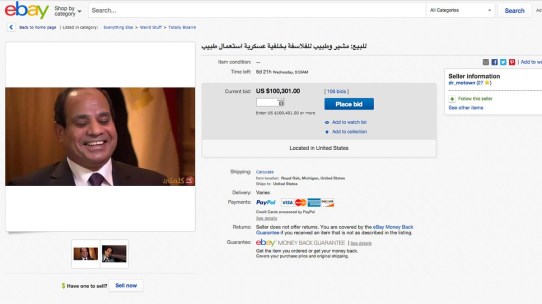 ebaysisi